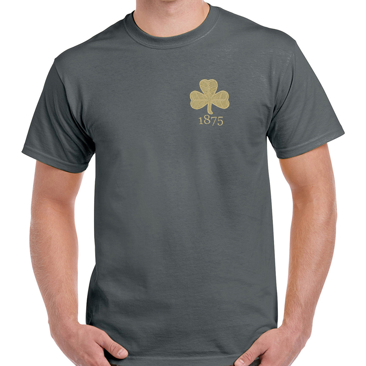 Mens Ireland 1875 Tee - Charcoal - Front