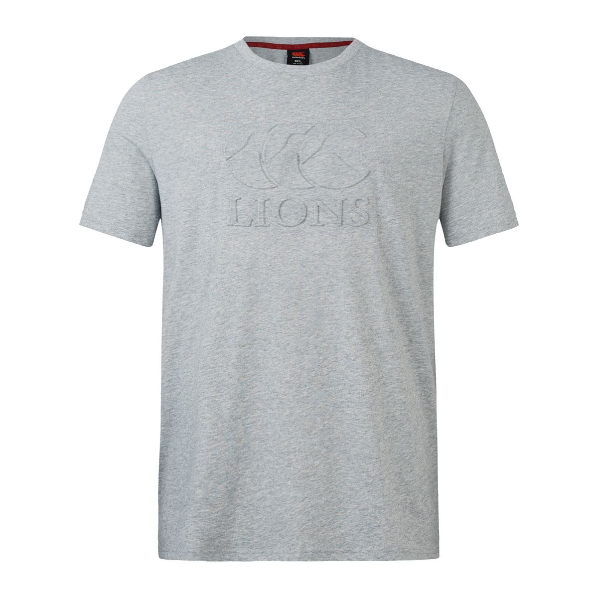 British and Irish Lions Mens Monument T-Shirt Grey - Front British and Irish Lions Mens Monument T-Shirt Grey - Front