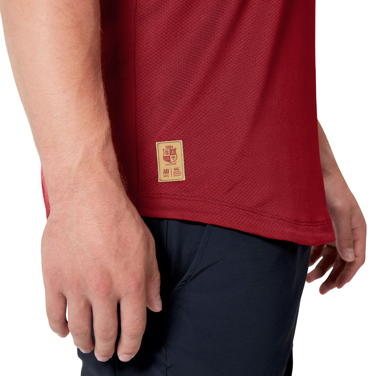 British and Irish Lions Mens Everest T-Shirt Red - Model Logo