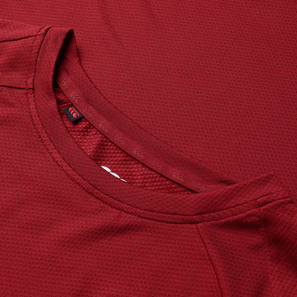 British and Irish Lions Mens Everest T-Shirt Red - Neck