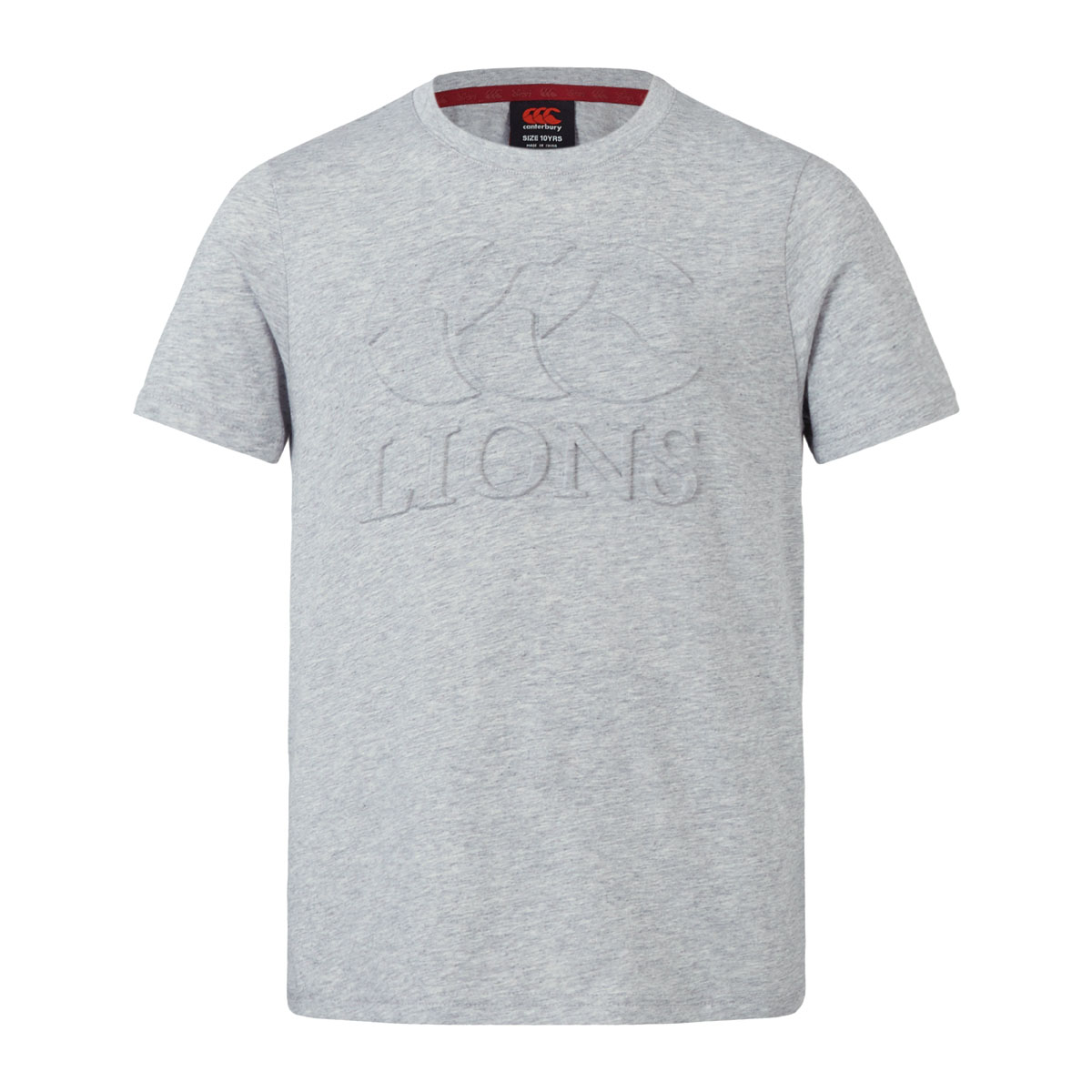 British and Irish Lions Junior Monument T-Shirt Grey - Front British and Irish Lions Junior Monument T-Shirt Grey - Front