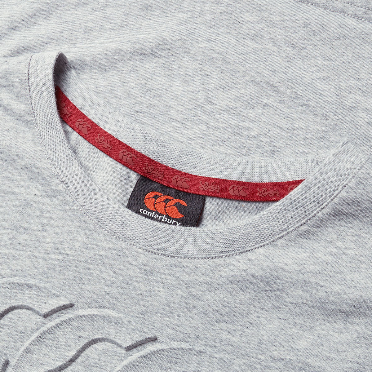 British and Irish Lions Junior Monument T-Shirt Grey - Neck